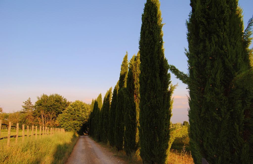 Il Colombaio, Siena -Appartamenti E Camere- Isola d'Arbia Eksteriør billede